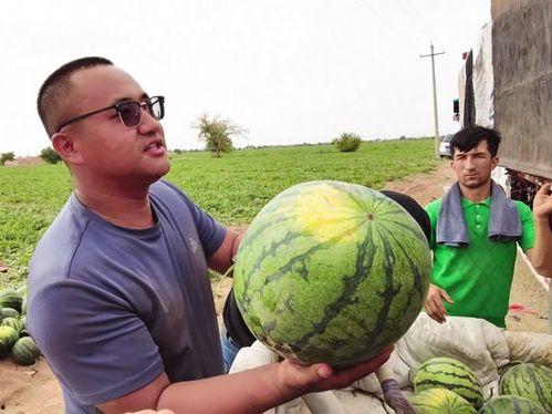 乌鲁木齐吃瓜公众号,尽享夏日美味盛宴