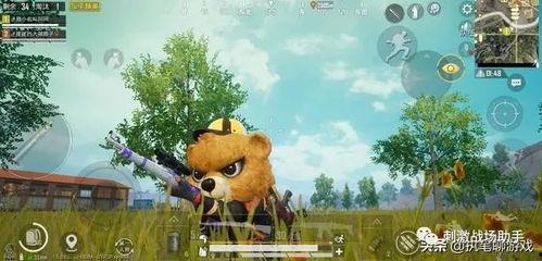 大熊吃瓜日记林青平,林青平的麻辣点评与人生感悟