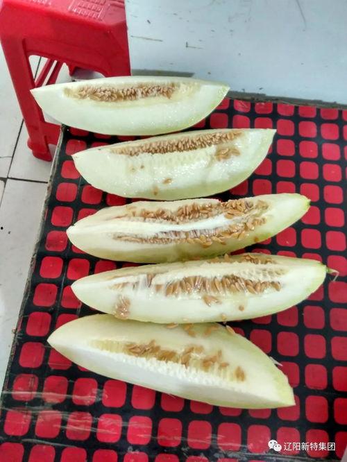 了解带你吃瓜,带你领略“吃瓜群众”的欢乐世界