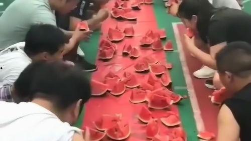 吃瓜老爷们,吃瓜群众视角下的娱乐圈风云录