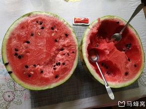 静海台头瓜怎么吃