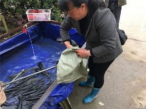 吃瓜回家通道,带你走进神秘的网络世界